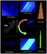 Graphical abstract: Tuning aggregation-induced emission nanoparticle properties under thin film formation