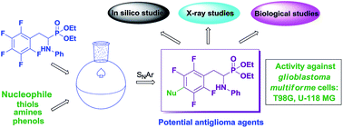 Graphical abstract: Synthesis, structural studies and biological properties of some phosphono-perfluorophenylalanine derivatives formed by SNAr reactions