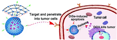 Graphical abstract: Diselenium-containing ultrathin polymer nanocapsules for highly efficient targeted drug delivery and combined anticancer effect