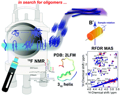 Graphical abstract: High-resolution probing of early events in amyloid-β aggregation related to Alzheimer's disease