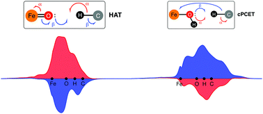 Graphical abstract: Spin-resolved charge displacement analysis as an intuitive tool for the evaluation of cPCET and HAT scenarios