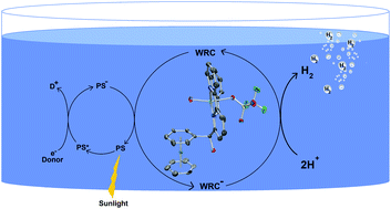 Graphical abstract: [Re(η6-arene)2]+ as a highly stable ferrocene-like scaffold for ligands and complexes