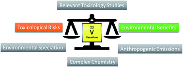 Graphical abstract: Vanadium: environmental hazard or environmental opportunity? A perspective on some key research needs