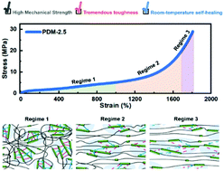 Graphical abstract: A self-reinforcing and self-healing elastomer with high strength, unprecedented toughness and room-temperature reparability