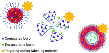 Graphical abstract: Polymers and boron neutron capture therapy (BNCT): a potent combination