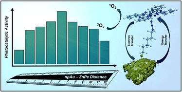 Graphical abstract: Impact of photosensitizer orientation on the distance dependent photocatalytic activity in zinc phthalocyanine–nanoporous gold hybrid systems