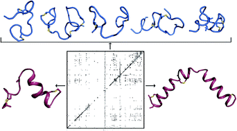 Graphical abstract: Structural determinants of macrocyclization in substrate-controlled lanthipeptide biosynthetic pathways