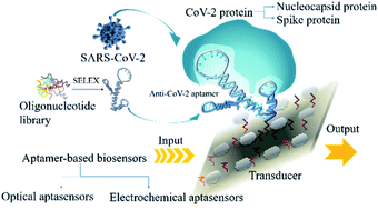 Graphical abstract: Aptamer-based biosensors and their implications in COVID-19 diagnosis