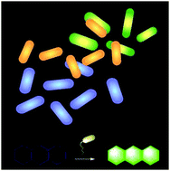 Graphical abstract: Small-molecule fluorescent probes: big future for specific bacterial labeling and infection detection