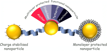 Graphical abstract: Surface functionalization of inorganic nanoparticles with ligands: a necessary step for their utility