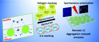 Graphical abstract: Dual crystalline–amorphous salen–metal complexes behave like nematic droplets with AIEgens vistas