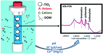 Graphical abstract: Influential parameters of surface waters on the formation of coating on TiO2 nanoparticles under natural conditions