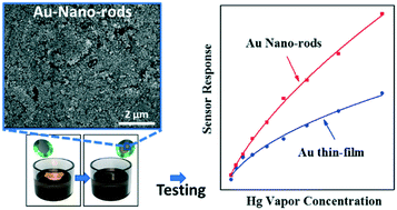 Graphical abstract: Gold nanorod self-assembly on a quartz crystal microbalance: an enhanced mercury vapor sensor