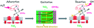 Graphical abstract: Photocatalytic reactive oxygen species generation activity of TiO2 improved by the modification of persistent free radicals