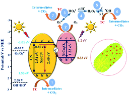 Graphical abstract: A Z-scheme NiCo2O4/S codoped 1D g-C3N4 heterojunction for solar-light-sensitive photocatalytic degradation of antibiotics in aqueous solutions exemplified by tetracycline