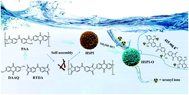 Graphical abstract: Oxime-modified hierarchical self-assembly polyimide microspheres for high-efficient uranium recovery from wastewater
