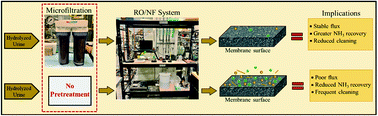 Graphical abstract: Ammonia recovery and fouling mitigation of hydrolyzed human urine treated by nanofiltration and reverse osmosis