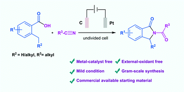 Graphical abstract: Electrochemical-induced benzyl C–H amination towards the synthesis of isoindolinones via aroyloxy radical-mediated C–H activation