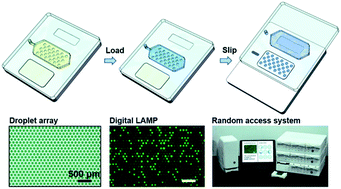 Graphical abstract: Slip formation of a high-density droplet array for nucleic acid quantification by digital LAMP with a random-access system