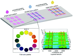 Graphical abstract: Printing dynamic color palettes and layered textures through modeling-guided stacking of electrochromic polymers