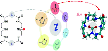 Graphical abstract: Chemisorption of CO2 by diamine-tetraamido macrocyclic motifs: a theoretical study