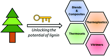Graphical abstract: Recent developments towards performance-enhancing lignin-based polymers
