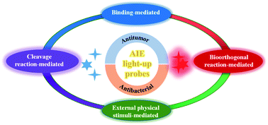 Graphical abstract: Recent advances of AIE light-up probes for photodynamic therapy