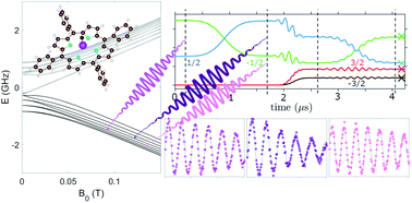 Graphical abstract: Controlled coherent dynamics of [VO(TPP)], a prototype molecular nuclear qudit with an electronic ancilla