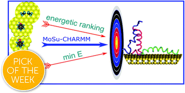 Graphical abstract: Predicting biomolecule adsorption on MoS2 nanosheets with high structural fidelity