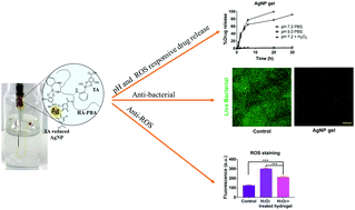 Graphical abstract: Tannic acid-inspired, self-healing, and dual stimuli responsive dynamic hydrogel with potent antibacterial and anti-oxidative properties