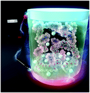 Graphical abstract: Anomalous n-type conversion of thermoelectric polarity in ionic hydrogels using PEDOT:PSS electrodes