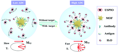 Graphical abstract: Assembly of USPIO/MOF nanoparticles with high proton relaxation rates for ultrasensitive magnetic resonance sensing