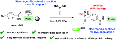 Graphical abstract: Modular solid-phase synthesis of electrophilic cysteine-selective ethynyl-phosphonamidate peptides