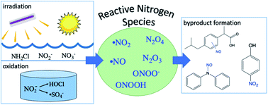Graphical abstract: Emerging investigator series: contributions of reactive nitrogen species to transformations of organic compounds in water: a critical review
