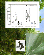 Graphical abstract: Direct measurement of the deposition of submicron soot particles on leaves of Platanus acerifolia tree
