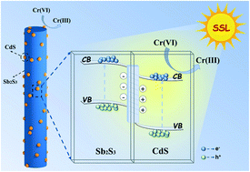 Graphical abstract: Simulated-sunlight-driven Cr(vi) reduction on a type-II heterostructured Sb2S3/CdS photocatalyst