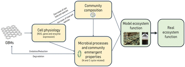 Graphical abstract: Graphene-based nanomaterials and microbial communities: a review of their interactions, from ecotoxicology to bioprocess engineering perspectives