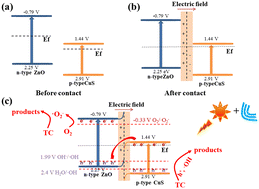 Graphical abstract: Significant improvement and mechanism of tetracycline degradation with the synergistic piezoelectric effect of ZnO/CuS Z-scheme heterojunction photocatalysts