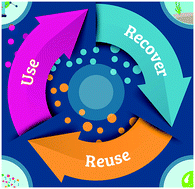 Graphical abstract: Inspiring a nanocircular economy