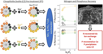 Graphical abstract: Evaluating the use of chemically modified clinoptilolite zeolite for the simultaneous recovery of ammonium and phosphate from blackwater