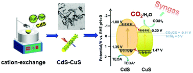 Graphical abstract: Facile synthesis of compact CdS–CuS heterostructures for optimal CO2-to-syngas photoconversion