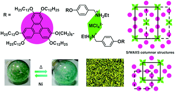 Graphical abstract: Triphenylene-ethylammonium tetrachlorometallate salts: multicolumnar mesophases, thermochromism and Langmuir films