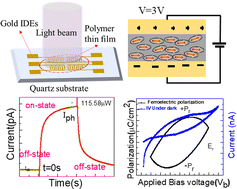 Graphical abstract: Photoresponse of an off-stoichiometry thiol–ene–epoxy (OSTE+) polymer