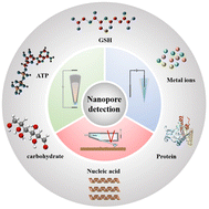 Graphical abstract: Recent advances of nanopore technique in single cell analysis