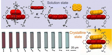 Graphical abstract: Donor–acceptor complex formation by social self-sorting of polycyclic aromatic hydrocarbons and perylene bisimides