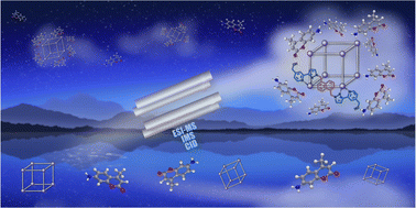 Graphical abstract: Binding modes of high stoichiometry guest complexes with a Co8L12 cage uncovered by mass spectrometry