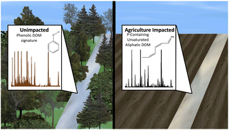 Graphical abstract: Emerging investigator series: impacts of land use on dissolved organic matter quality in agricultural watersheds: a molecular perspective