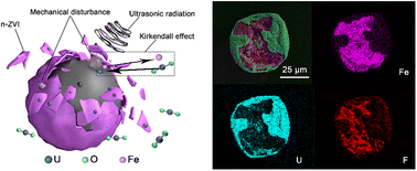 Graphical abstract: Achieving efficient uranium extraction by in situ ultrasonic texturization of commercial Fe powder