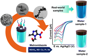 Graphical abstract: Insight into lanthanides REVO4 (RE = Ce, Pr, Nd): a comparative study on RE-site variants in the electrochemical detection of metronidazole in environmental samples