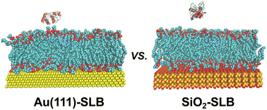 Graphical abstract: Influence of sensor composition on nanoparticle and protein interaction with supported lipid bilayers